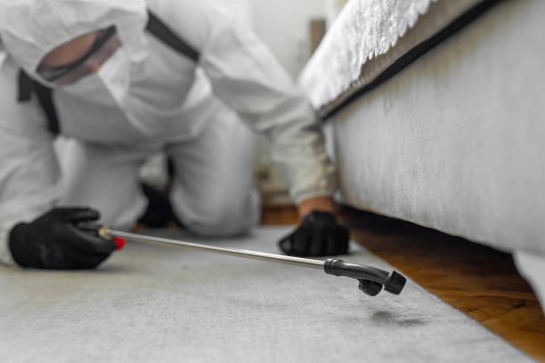 Professional Cockroach Control technician working in Pahokee, FL