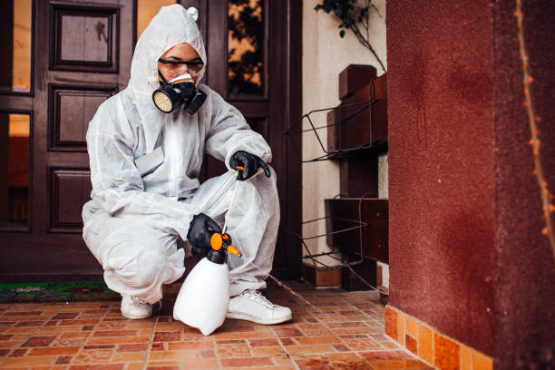 Reliable Cockroach Control contractor in Pahokee, FL by Nex Pest Control
